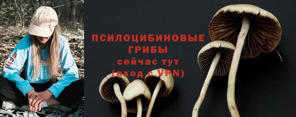 mix Дмитровск