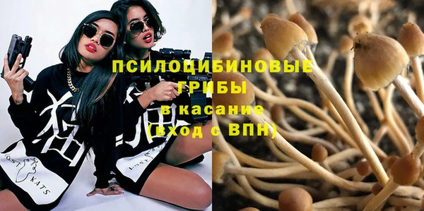 ешки Дмитриев